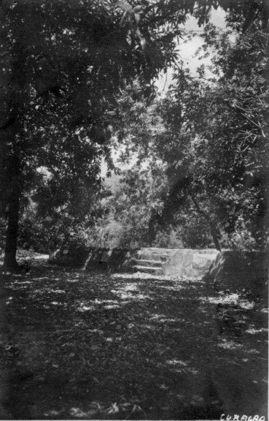 BRAKKEPU