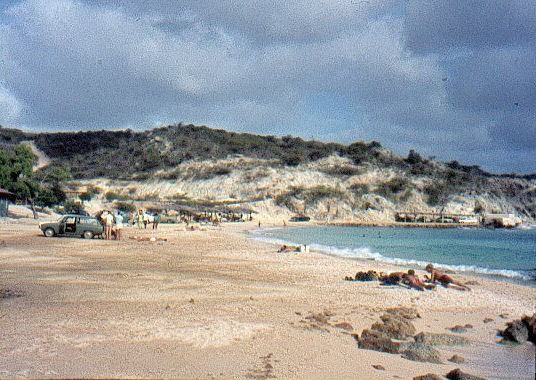 Blaauwbaai