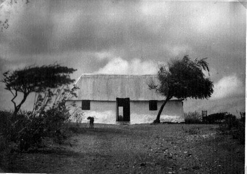 Koenoekoewoning4